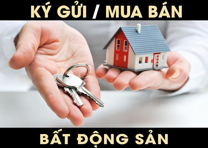 CẦN MUA ĐẤT BÀU BÀNG – CẦN BÁN ĐẤT BÀU BÀNG